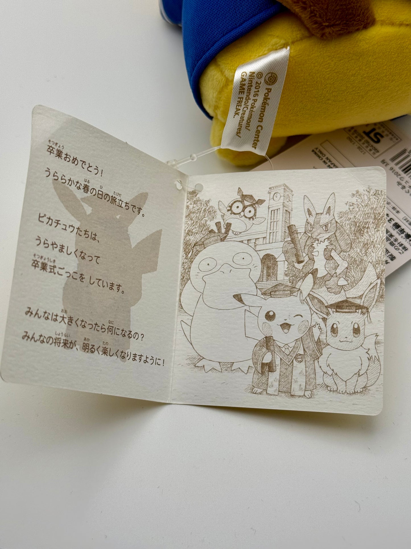 Eevolvd Pikachu Plush March 2016 med hatt och dräkt samt diplom sedd med sin tag innehall direkt fran Pokemon Center Japan
