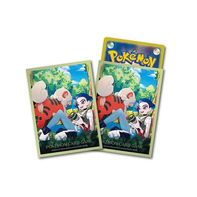Eevolvd Perrin med sommar kansla illustration med sot pokemon direkt fran Pokemon Center Japan