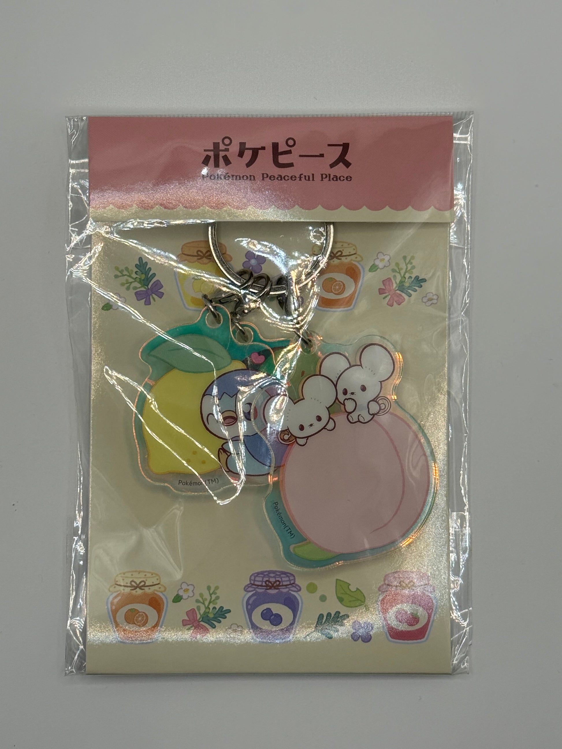eevolvd peaceful place pokemon center Japan keychain irl 1 front view